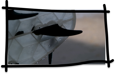 transparent-advantage